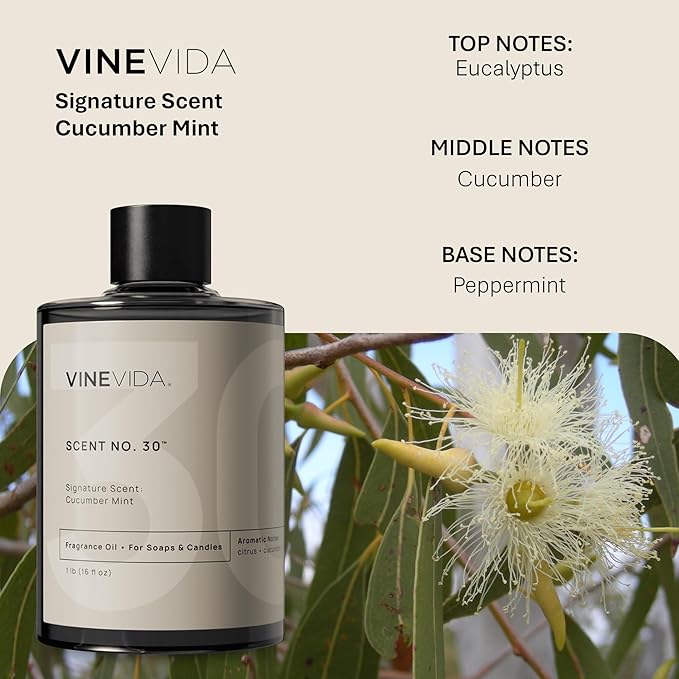 VINEVIDA Cucumber Mint Fragrance Oil [16oz] - USA Made Candle & Soap Scents