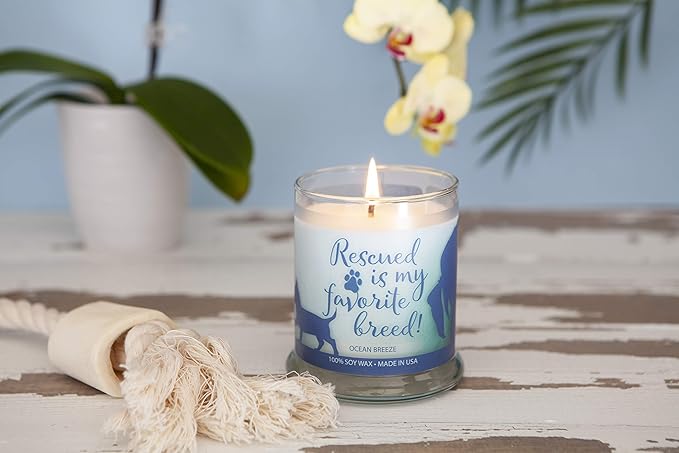 One Fur All Pet Lovers Candle - Ocean Breeze - Pet Odor Eliminator - Non-Toxic - Eco-Friendly
