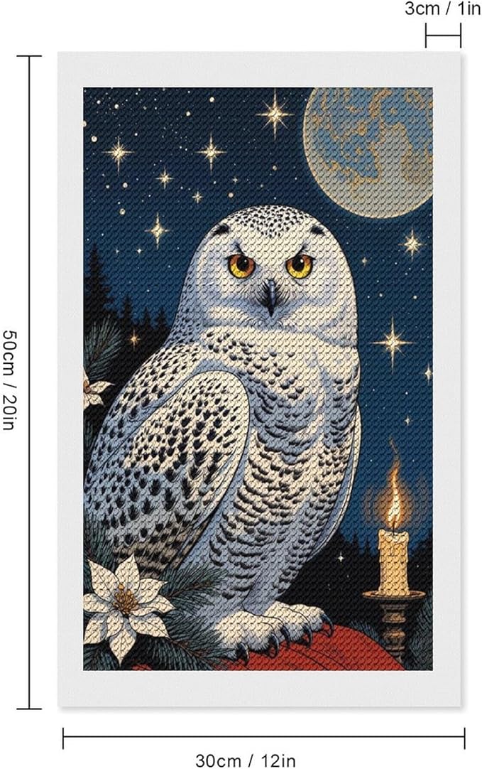 KIVJMSIDJA Snowy Owl & Candle Glow - Winter Night Scene Diamond Art Kits for Adults for Beginners, 5D Full Diamond Art Paint 12"x20"