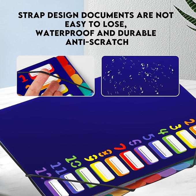 24 Pockets Expanding File Folder Organizer,Accordion File Organizer,A4 Letter Size,Rainbow Tab, for Home/Office/School Document Organizer (Blue)