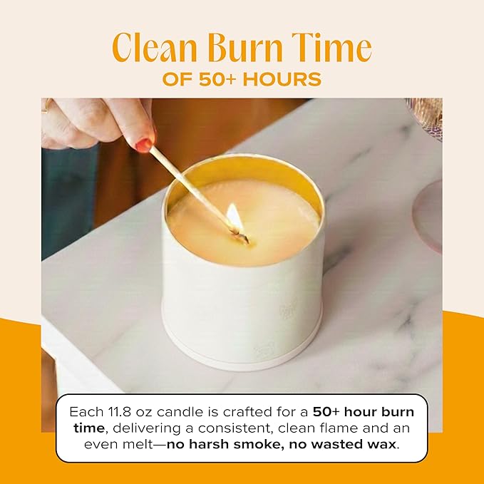 Companion Candles You Got This! Pet-Friendly Scented Candle – Tropical Nectar & Fruits Fragrance - Coconut Soy Wax Candle with Wooden Wick, Approx. 50-Hour Burn Time, Made in USA, 11.8 oz