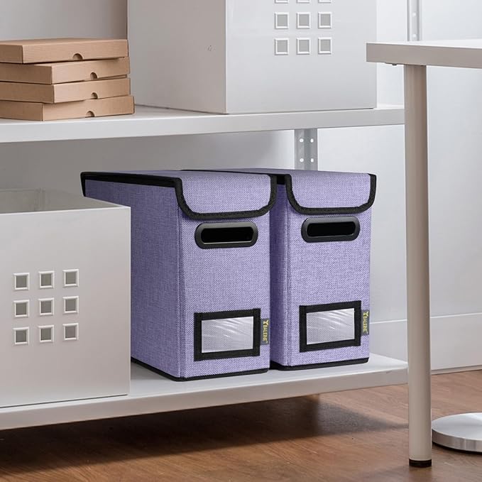 BALEINE File Organizer Box with Lid, Collapsible File Folder Organizer with Plastic Slide, Hanging File Folder Box for Office Document Storage (2 Pack, Purple, S)
