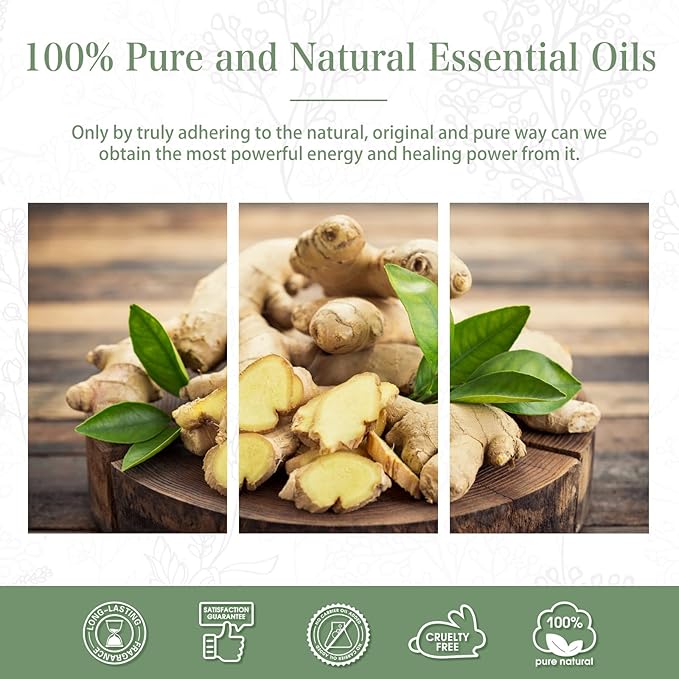 Ginger 3.38fl.oz Essential Oil, PHATOIL Pure Aromatherapy Oils for Diffuser, Humidifier, Perfect for DIY Soap, Candle, Bath Bombs Making(100ml)