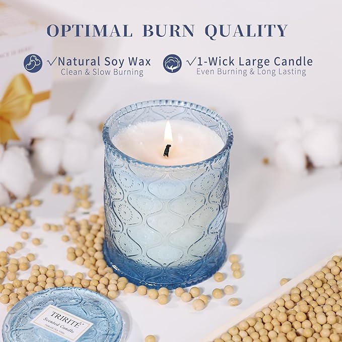 Blue Ocean Scented Candles for Women, Vegan Soy Wax Jar Candles, 50-Hour Burning Time, No Toxin Subtle Scented Home Fragrance for Summer Bathtub Aromatherapy Calming, Gifts for Women & Men