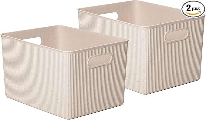 Superio Eco-Friendly Decorative Plastic Basket Open Home Storage Bins Organizer Baskets, X-Large (2 Pack) Container Boxes for Organizing Closet Storage Bins for Shelves Drawer Shelf 22 Liter