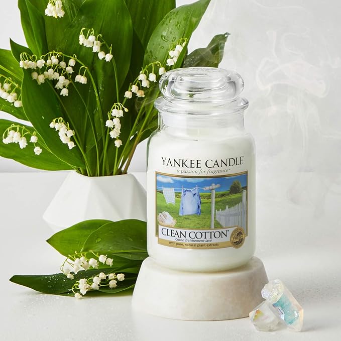Yankee Candle Scented Candle | Clean Cotton Small Jar Candle | Burn Time: Up to 30 Hours