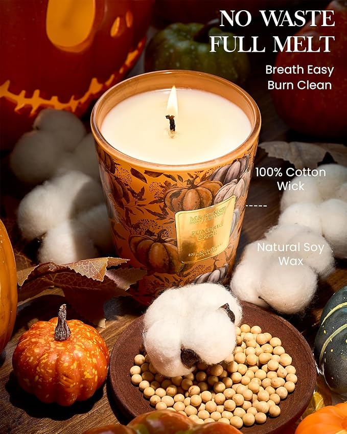 M&SENSE Pumpkin Spice Soy Candle, 14.1oz 60H Slow Burning, Aromatherapy Candle for Living Room Cozy Winter Holiday Housewarming Gifts