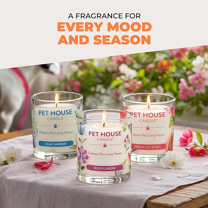 One Fur All Pet House Fall Candles, Long Lasting, Clean Burning, Soy Wax Scented Candles for Pet Odor, Orange Spice