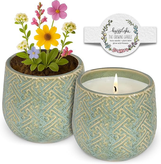 Hyggelight - The Growing Candle, Lavender Scented, 10oz Ceramic Pot, Single Wick Aromatherapy Candles, 100% Soy for Women and Men, Ida