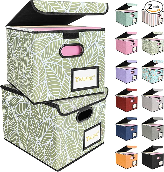 BALEINE File Organizer Box with Lid, Collapsible File Folder Organizer with Plastic Slide, Hanging File Folder Box for Office Document Storage (2 Pack, Antique Foliage)