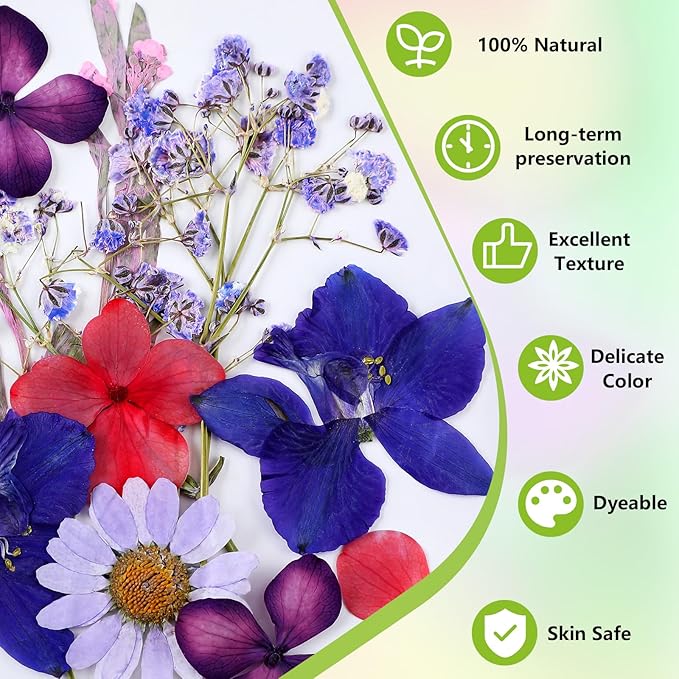 MTLEE 24 Pack Dried Pressed Flower Candle Painting Kit 6 White Pillar 6 Dried Pressed Flower 10 Tealight Candle Tweezer Brush for Galentines Girls Night Birthday Wedding Party DIY Crafts(4/6/8 Inch)