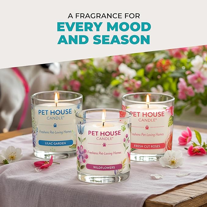 Pet House Candles, Plant-Based, Clean Burning, Long Lasting Pet Friendly Candles for Home - Mediterranean Sea, 2 Pack