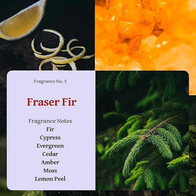 RUTH & ROSE | Fraser Fir | 100% Beeswax Scented Candles for Home, 8oz, +65 Hours Burn Time, Aromatherapy Non Toxic Candles, Gift for Women & Men, Made in USA, Perfect for Travel or Gifting