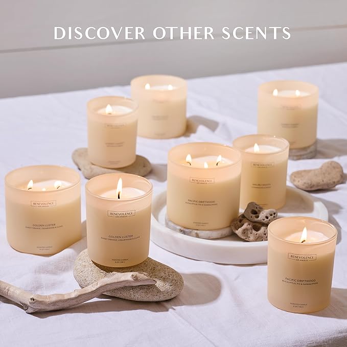 Champagne & Peony – Benevolence LA Scented Candle | 8oz, 45-Hour Burn | Natural Soy Wax, Cotton Wick | Romantic & Elegant Home Fragrance | Malibu Sands Collection – Gift for Women & Men