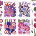 CONVELIFE Dried Flowers for Resin, Vacuum Packed DIY Pressed Flowers for Epoxy, Jewelry, Candles, Soap, Nail Production (80PCS Purple Dried Flowers)