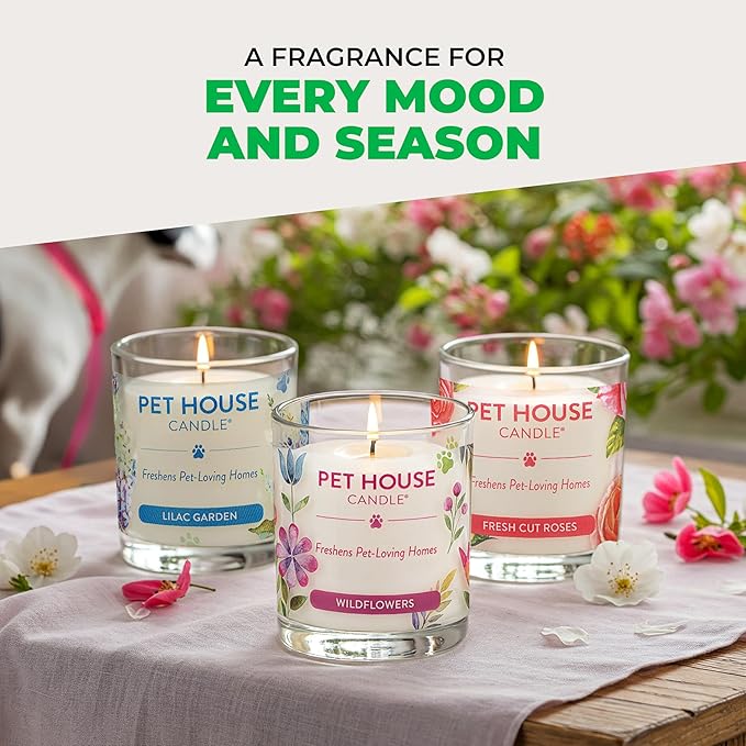Pet House Pet Odor Candle Plant Based Scented Candle Clean Burning, Long Lasting for Home, Gingerbread Cookies 2 Pack