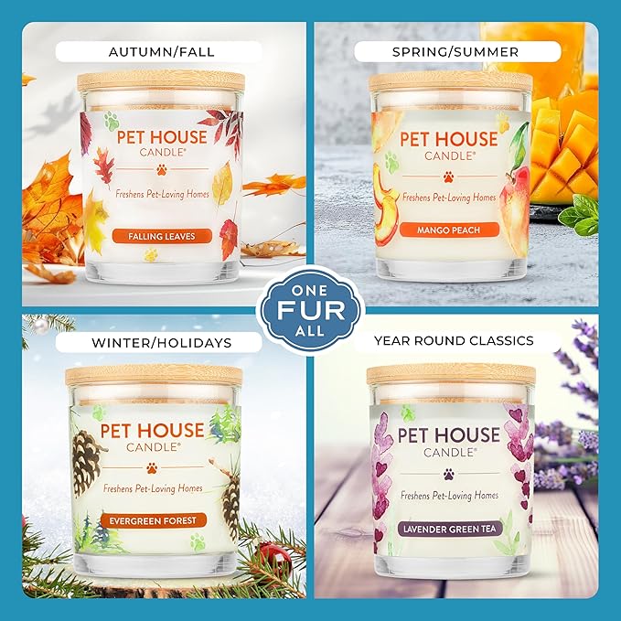 One Fur All Pet House Candle Plant-Based/Soy - Clean Burning Scented,Long Lasting Pet Odor Candle for Home - Sunwashed Cotton