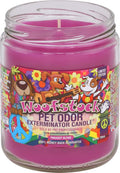 Woofstock Pet Odor Exterminator 13 Ounce Jar Candle