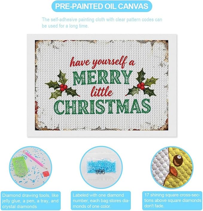 AIVKIEJK Diamond Painting Kits for Adults - Merry Christmas Santa Painting DIY 5D Full Drill Diamond Dots Paintings with Diamonds Gem Art and Crafts Home Decor 8"x12"
