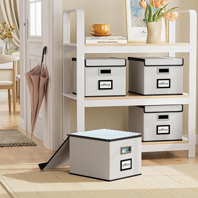 Huolewa File Organizer Box with Lid, Collapsible File Folder Organizer for Office Document Storage, Filing Box with Plastic Slide for Letter Size Hanging File Folders(1 Pack, White)