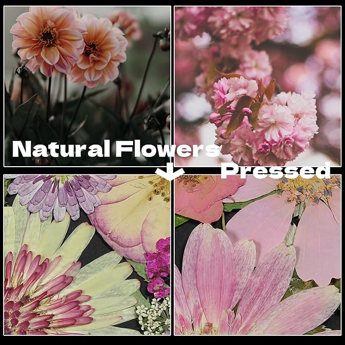 CONVELIFE White Dried Pressed Flowers, 40Pcs Real Nature Flowers Set with Tweezers, Pressed Flowers for Resin DIY Jewelry Candle Soap Vase Making Nail Card Scrapbook Art Craft Floral Decors