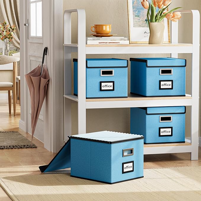 Huolewa File Organizer Box with Lid, Collapsible File Folder Organizer for Office Document Storage, Filing Box with Plastic Slide for Letter Size Hanging File Folders(1 Pack, Sky-blue)