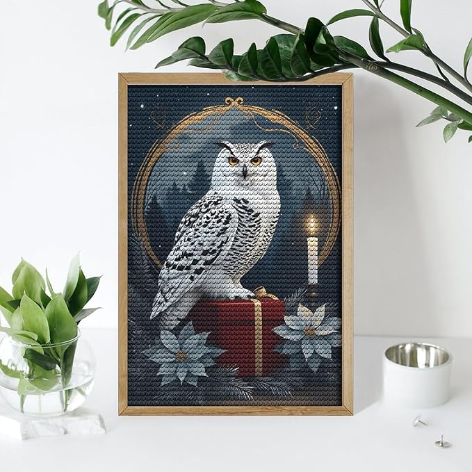 KIVJMSIDJA Diamond Art Kits for Adults Snowy Owl & Candle Glow - Winter Night Scene DIY Round Diamond Art for Home Wall Decor & Crafts Gifts 8"x12"