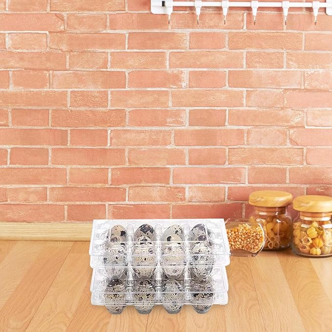 120pcs Quail Egg Storage Tray with Lid Plastic Small Egg Holder Container for Farm Kitchen and Refrigerator Organization