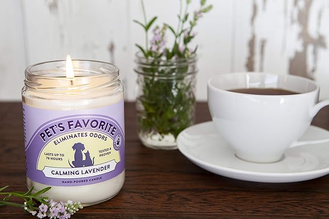 Pet's Favorite Pet Odor Candle, Clean Burning, Long Lasting Lavender Candles with a Natural Fiber Wick and 70 Hour Burn Time, Pack of 2