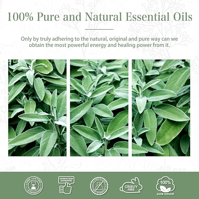 PHATOIL 3.38FL.OZ Clary Sage Essential Oil for Aromatherapy Diffusers with Glass Dropper, Humidifiers, Great for DIY Candle and Soap Making, Huge 100ML Bottle