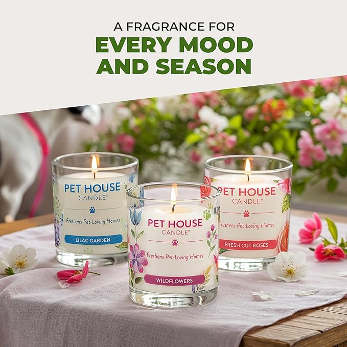 One Fur All Pet House Candle Plant-Based/Soy - Clean Burning Scented, Long Lasting Pet Odor Candle for Home - Fresh Citrus