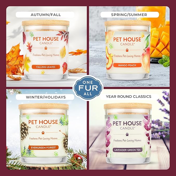 One Fur All Pet Friendly Candle 2 Pack - Plant-Based, Soy Candles, Clean Burning, Long Lasting Pet Air Freshener for Home, 2 Pack, Falling Leaves and Autumn Harvest