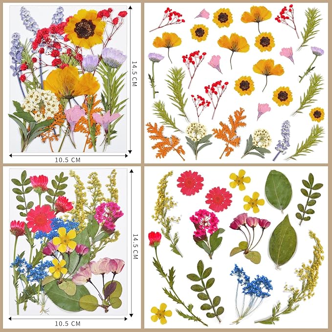 CONVELIFE Dried Flowers , 72pcs Natural Pressed Flowers and Leaves with Tweezers, Pressed Flowers for Epoxy, Jewelry, Candles, Soap, Nail Production