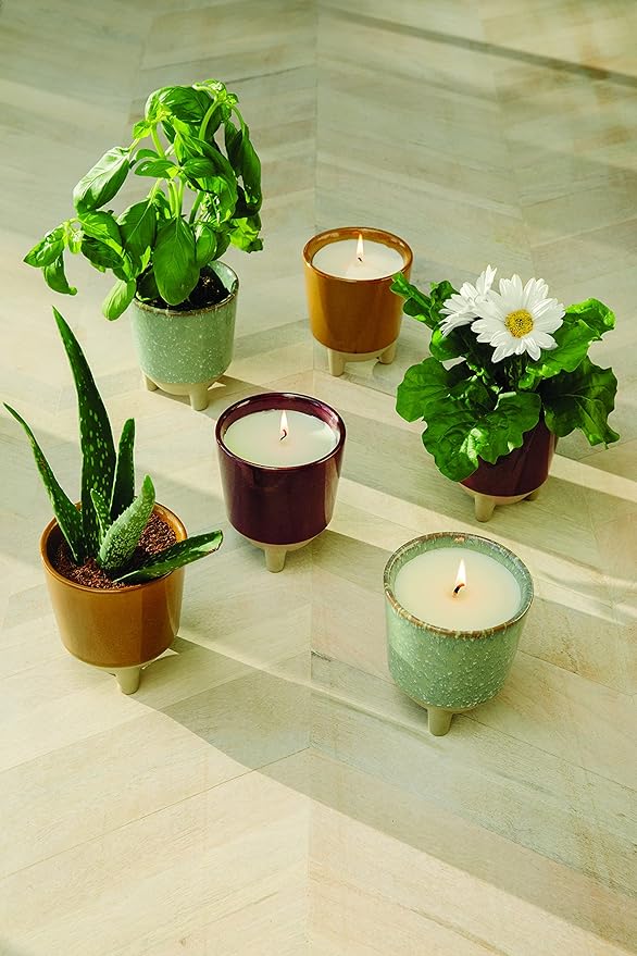 Modern Sprout Glow and Grow Kit - 2 in 1 Scented Candle that Grows into a Daisy Plant - 12 oz Soy Candle with 78 hr Burn time in Glaze Ceramic Vessel - Planter Ideal for Home Decor Aesthetic