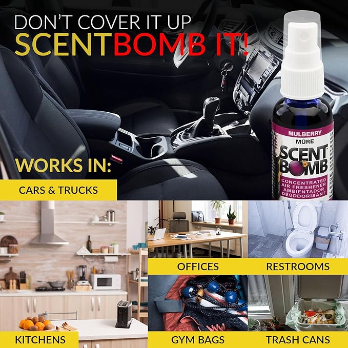 Scent Bomb Air Freshener Spray, Long-Lasting Odor Eliminator - Effective Deodorizer for Home & Car, Fresh Room Spray for Kitchen, Bathroom & Smell Neutralizer - 1 oz Pack of 4, Mulberry Scent
