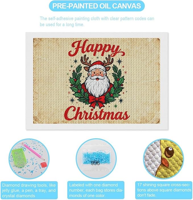 AIVKIEJK Diamond Painting Kits for Adults - Christmas Santa Claus Holly Berries & Snowflakes Painting DIY 5D Full Drill Diamond Dots Paintings with Diamonds Gem Art and Crafts Home Decor 8"x12"