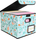 BALEINE File Organizer Box with Lid, Collapsible File Folder Organizer with Plastic Slide, Hanging File Folder Box for Office Document Storage (1 Pack, Spring Stroll)