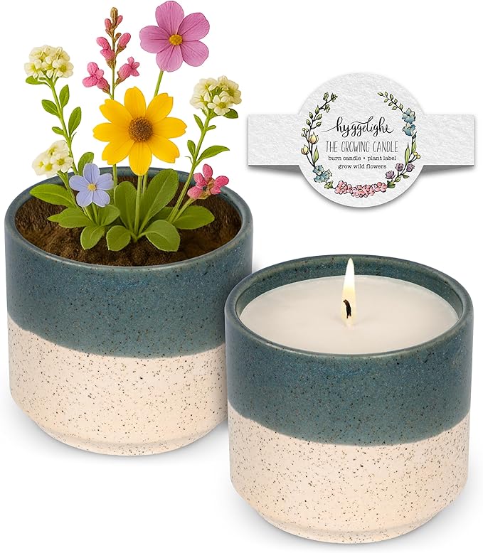 Hyggelight - The Growing Candle, Sandalwood & Vanilla Scented, 8.5oz Ceramic Pot, Aromatherapy Candles for Home, 100% Soy, Willow