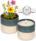 Hyggelight - The Growing Candle, Mint & Eucalyptus Scented, 8.5oz Ceramic Pot, Aromatherapy Candles, 100% Soy, Willow