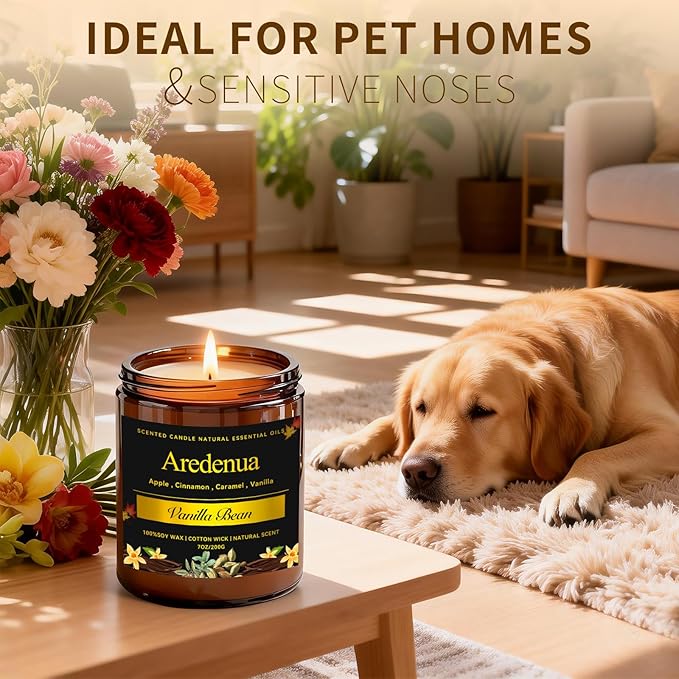 Vanilla Bean Odor Eliminating Candles | Vanilla Bean Scented Soy Candle for Home, Air Freshening & Cozy Vanilla Scent, Relaxing Home Scented Candles, Cozy Winter Candle Gift for Women & Men