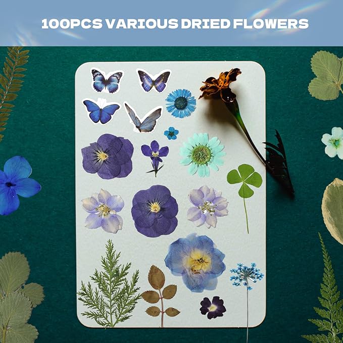 CONVELIFE Pressed Flowers112 Pcs , Blue Natural Dried Pressed Flowers with 10Butterfly Stickers, Pressed Leaves kit for Scrapbook Supplies Card Making Resin Jewelry Making Soap Candle DIY Crafts