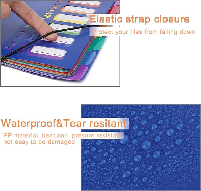 Edufun Rainbow Tab Expanding File Folder - 24 Pockets, Durable A4 Letter Size Organizer, Water-Resistant Plastic Dividers, Home/Office/School Document Holder (Blue)