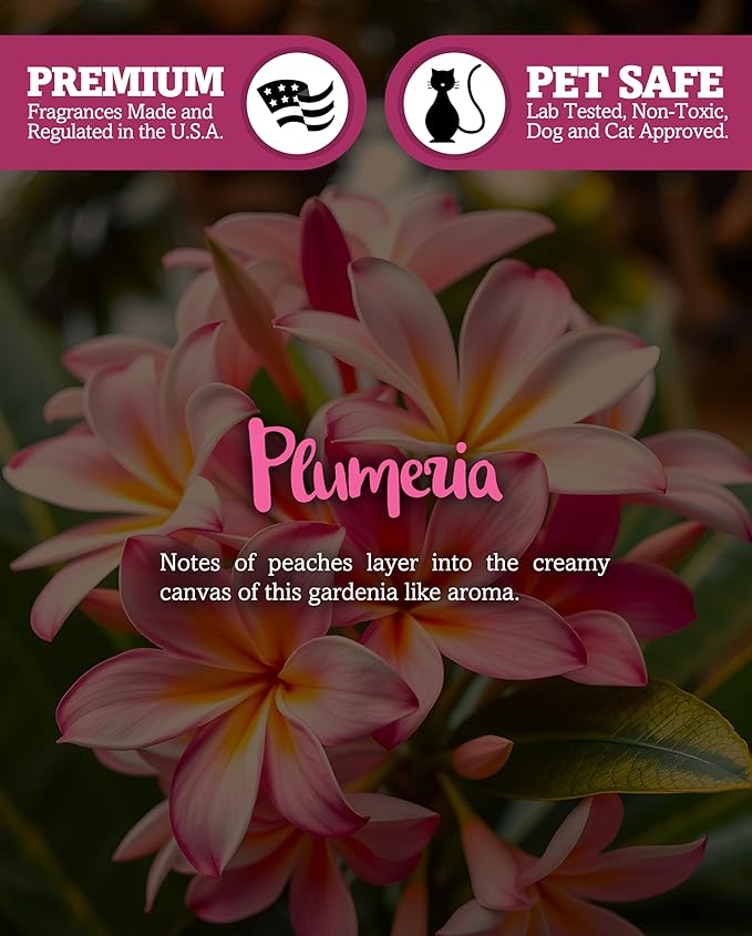 Shortie's Candle Company Pure Plumeria Wax Melts Multi Pack - 2 Highly Scented 3 Oz. Bars (6 Oz. Total) - Made with Natural Oils - Flower & Floral Air Freshener Cubes Collection