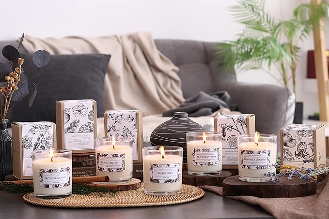 Aronica Pet Safe Candles Apple Scented, Long Lasting Scented Candles, Honeycrisp Apple Candle Clean Non Toxic, Fruity Candles Scented