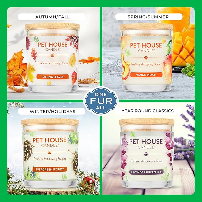 Pet House Pet Odor Candle Plant Based Soy Candle Clean Burning, Long Lasting for Home, Gingerbread Cookies