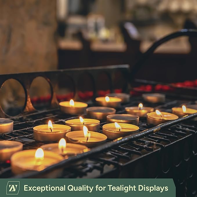 8 Hour Tea Lights Candles (50 Pack) - White Long Lasting Tea Lights -Smokeless & Unscented Candles - Party Candles- for Weddings - 3.8 x 2.3 CM, 8hr