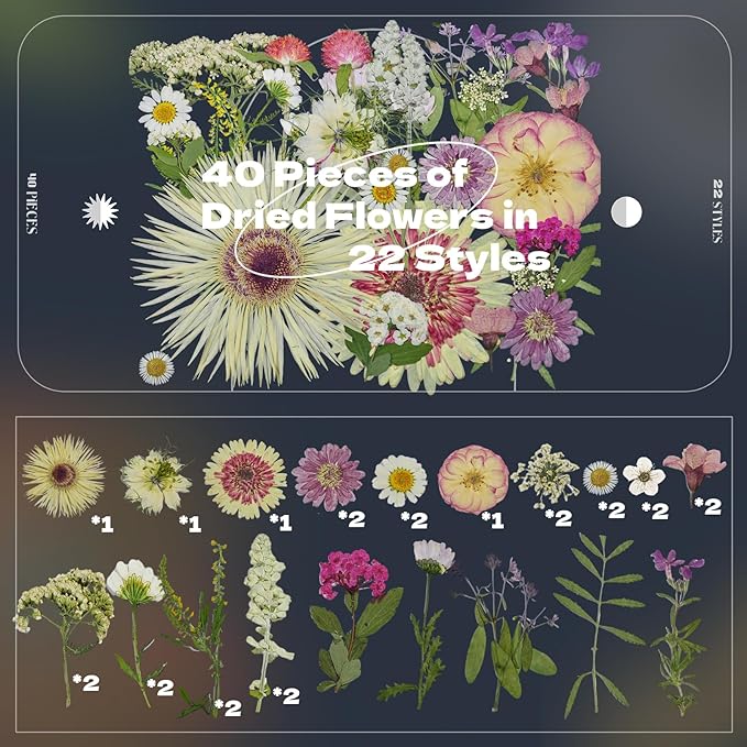 CONVELIFE White Dried Pressed Flowers, 40Pcs Real Nature Flowers Set with Tweezers, Pressed Flowers for Resin DIY Jewelry Candle Soap Vase Making Nail Card Scrapbook Art Craft Floral Decor