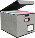 BALEINE File Organizer Box with Lid, Collapsible File Folder Organizer with Plastic Slide, Hanging File Folder Box for Office Document Storage (1 Pack, Grey)