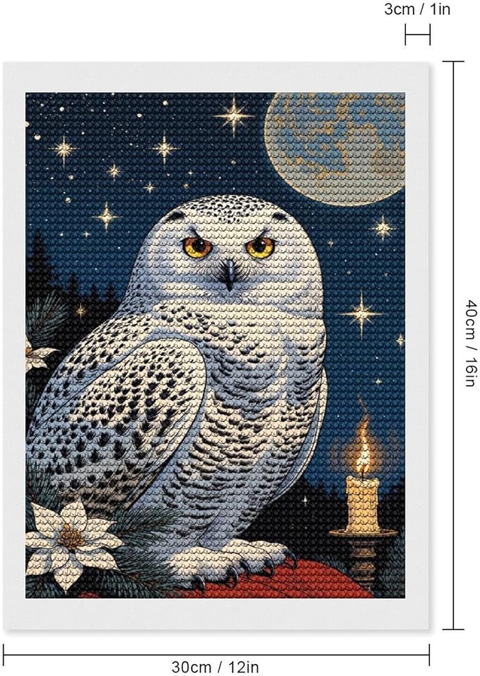 KIVJMSIDJA Snowy Owl & Candle Glow - Winter Night Scene Diamond Art Kits for Adults for Beginners, 5D Full Diamond Art Paint 12"x16"