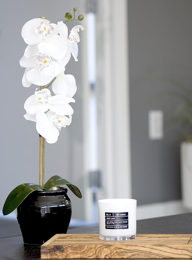 Lulu Candles | Black Amber | Luxury Scented Soy Jar Candle | Hand Poured in The USA | Highly Scented & Long Lasting (9 Oz. 2 Pack)
